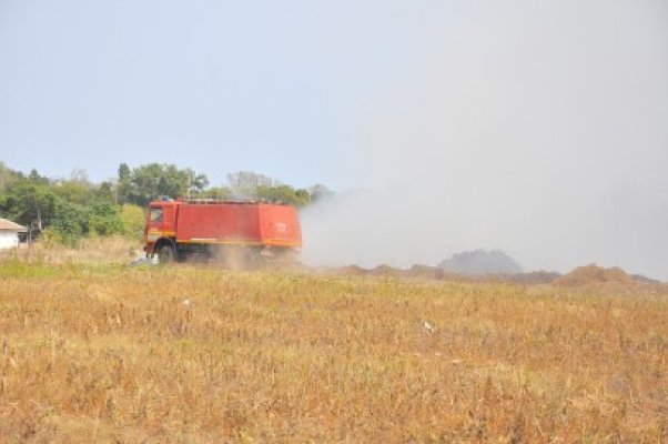 ISU: Stop incendierii miriştilor şi vegetaţiei!